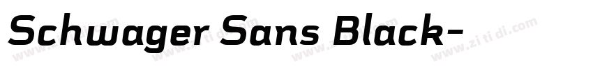 Schwager Sans Black字体转换